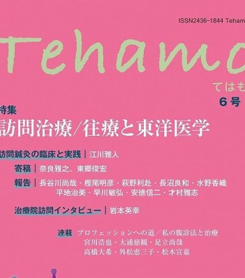 Tehamo6号 – 新刊発売 –