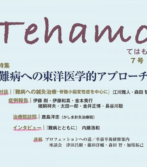 Tehamo7号 – 新刊発売 –
